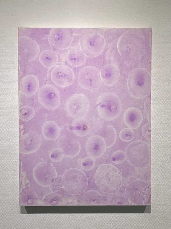 Cell Universe Awake