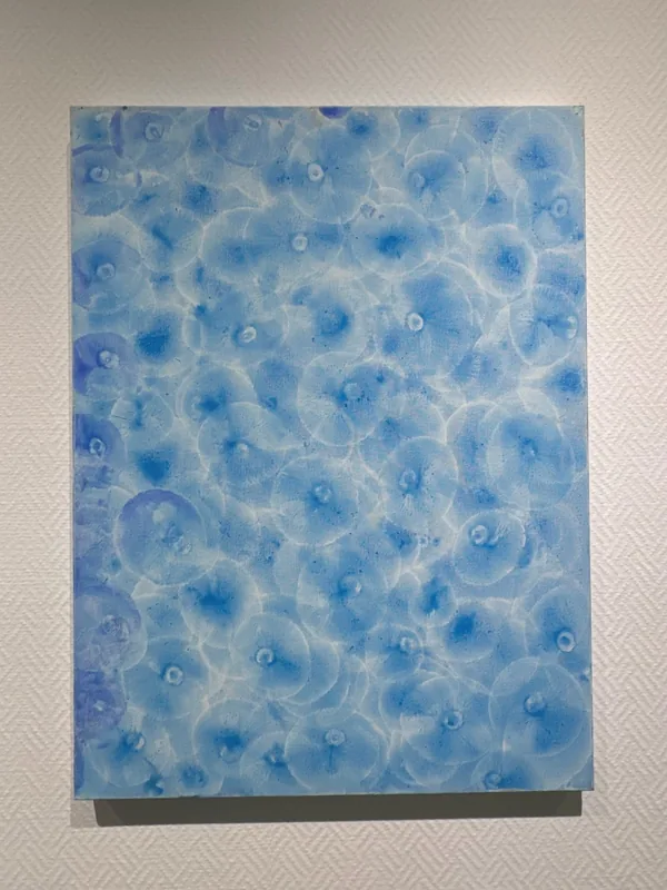 Cell Universe Persist