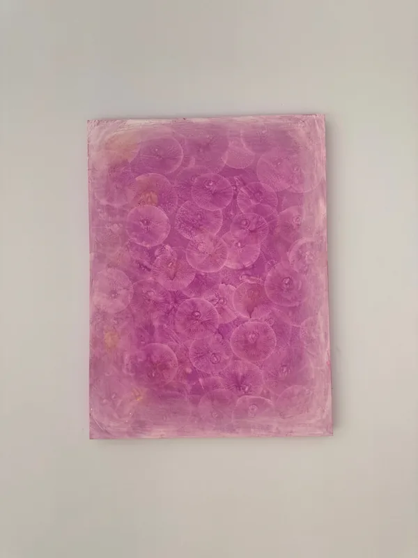 Cell Universe Tender