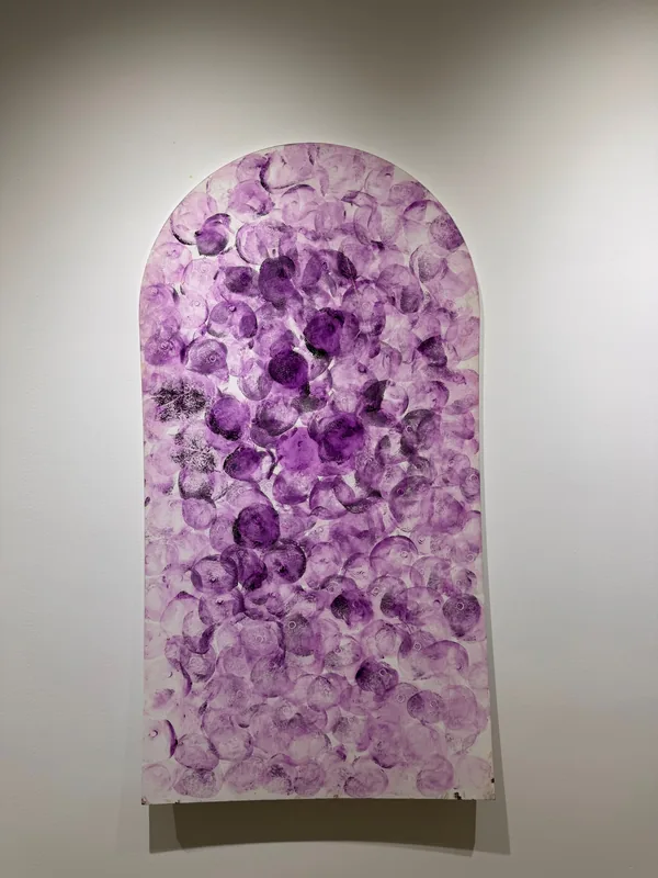Cell Universe Lucid